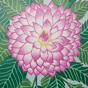 Meet your Posher, Hana